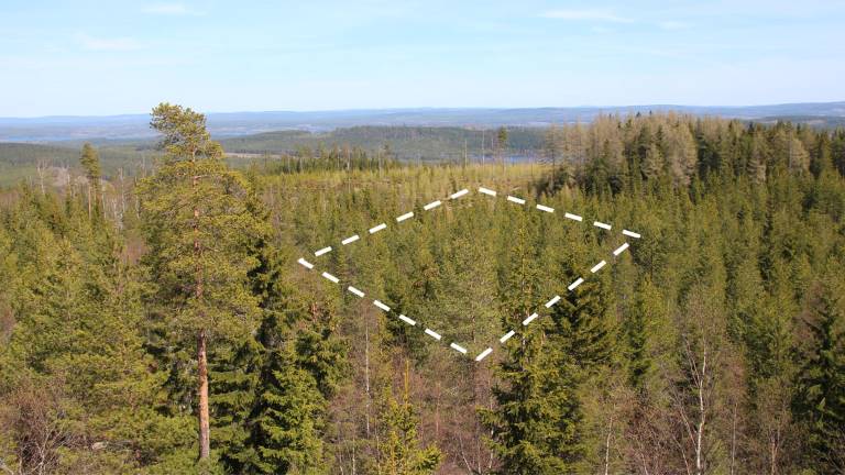 1 hektar skog, utsikt i Hagfors. Mats Hannerz.