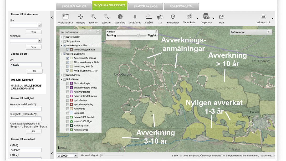 Skogliga-grunddata-Korpåsen-avverkning_1200x675px.jpg