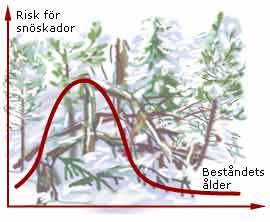 Risk för snöskador