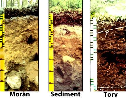 Jordarter, foto Skogforsk