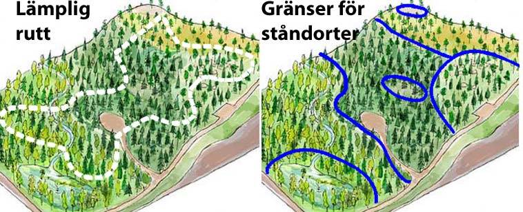 Lämplig rutt och gränser för ståndortsplanering. Anna Marconi.