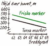 Diagram över rekommenderade gränser för naturlig föryngring med tall.