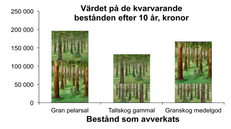 Beståndsval, resultatdiagram. Anna Marconi.