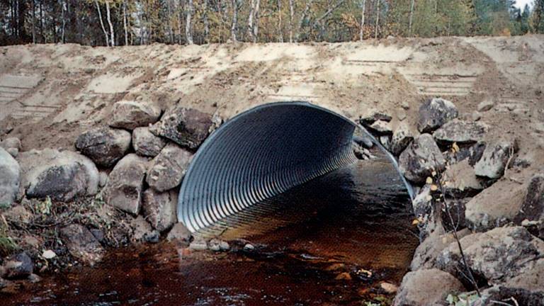 Valvbåge utan vandringshinder. Foto Skogforsk.