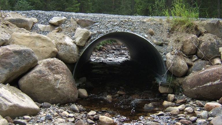 Halvtrumma över väg med intakt botten. Foto Oskar Norrgrann.