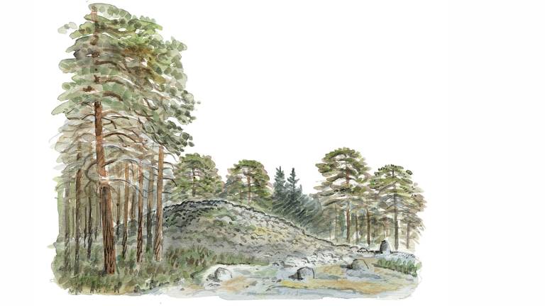 Rösegravar. Illustration Martin Holmer.