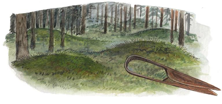 Järnålderns gravfält. Illustration Martin Holmer.