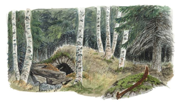 Bergsmansgård och skogstorp. Illustration Martin Holmer.