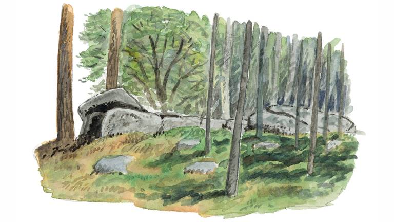 Stenkammargravar - megalitgravar. Illustration Martin Holmer.