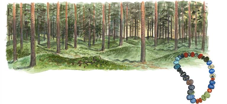 Järnåldersgravfält. Illustration Martin Holmer.