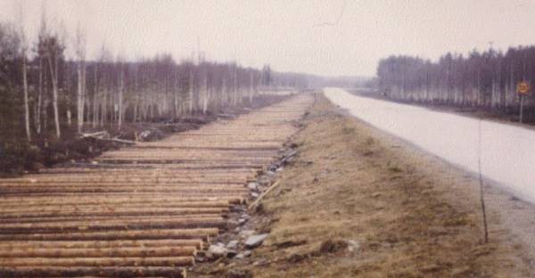 Stockmatta på våtmark. Foto Forestry Commission, Skottland.