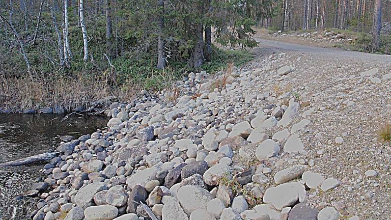 Erosionsskydd i vägbank. Foto Per Hallgren.