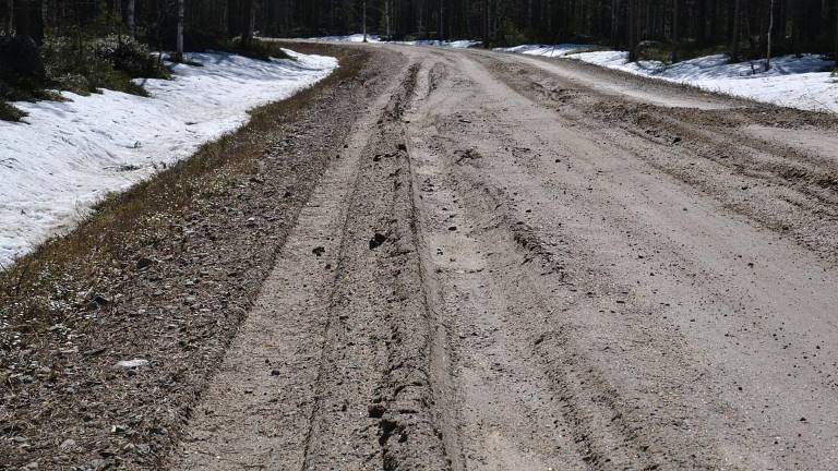 Spårbildning och ytuppmjukning. Foto Per Hallgren.