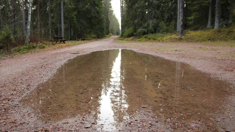 vatten på vägbanan. Foto Mats Hannerz.