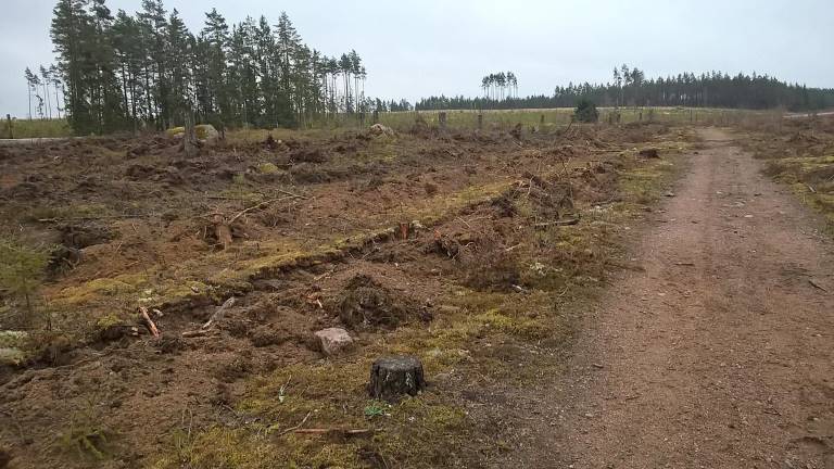 Markberedning i skyddsområde runt fornlämningar. Foto Cecilia Ulfhielm.