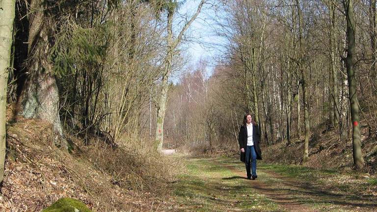 Vandrare i lövskog. Foto Martin Werner.