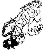Bok (Fagus sylvatica) - Skogskunskap