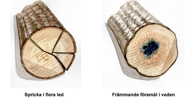 Spricka i flera led och främmande föremål i veden. Illustration Rose-Marie Rytter.