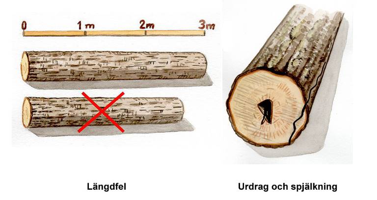 Längdfel och urdrag och spjälkning. Illustration Rose-Marie Rytter.