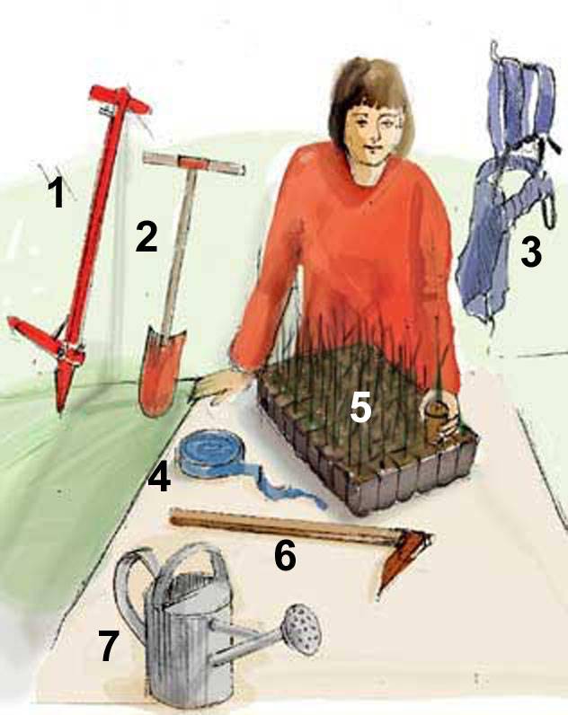 Planteringsutrustning. Illustration Anna Marconi.