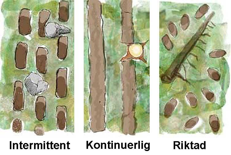 Tre principer för markberedning. Illustration Anna Marconi.