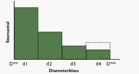 Skogsskötselserien, diameterfördelning.