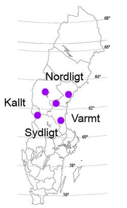 Fältförsök i skogsträdsförädlingen.