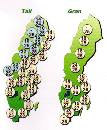 Genetiska nivåer i fröplantager.