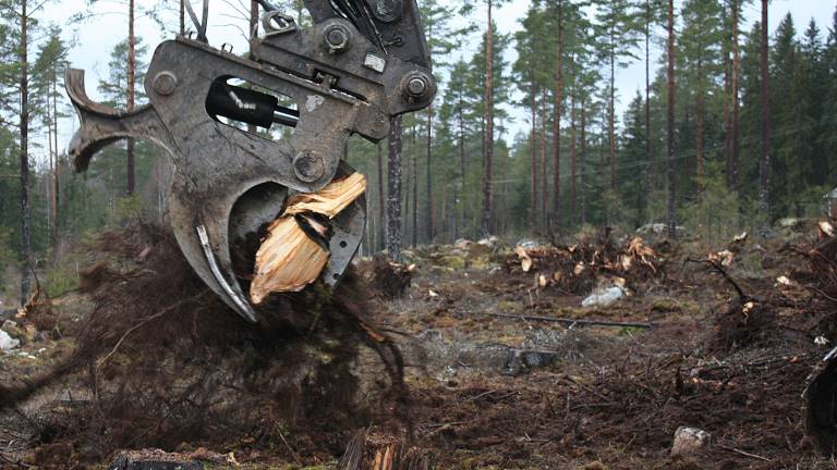 Stubbrytning Lindesberg. Foto Mats Hannerz.