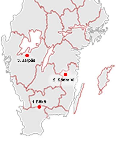 Demonstrationsytor med björk