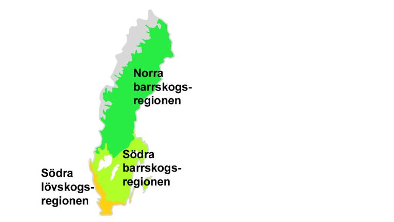 De tre skogsklädda vegetationsregionerna i Sverige. Bild Filip Hannerz.