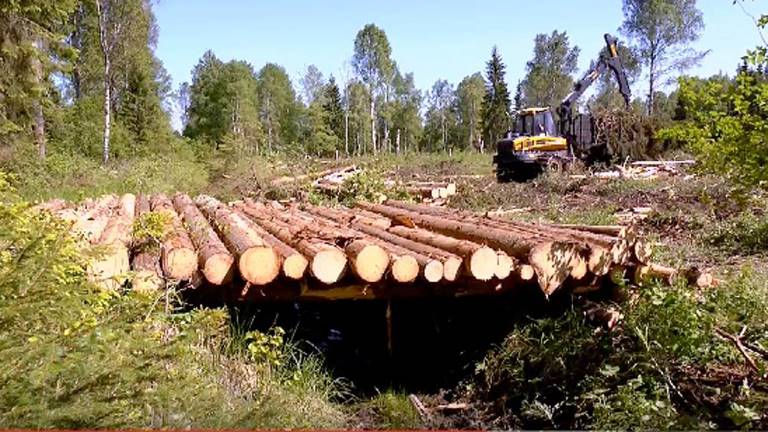 Virkesbro steg 2, tvärgående massaved. Från filmen Spårlös.