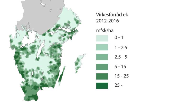 Virkesförråd av ek, Riksskogstaxeringen