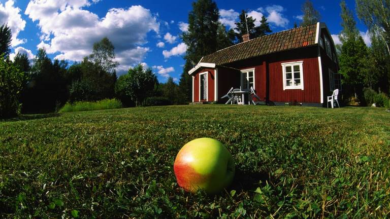 Skogenbild_skogstorp_Stefan_Örtenbla_dia0676_1200x675px.jpg