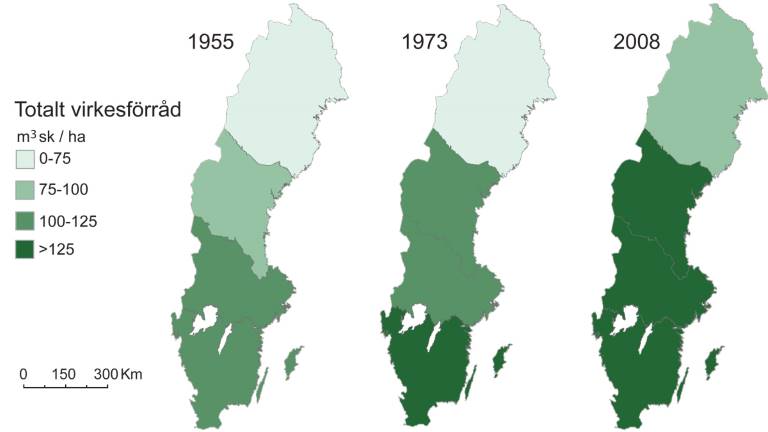 virkesförråd_Rikstax_1955-2008_1200x675px.jpg