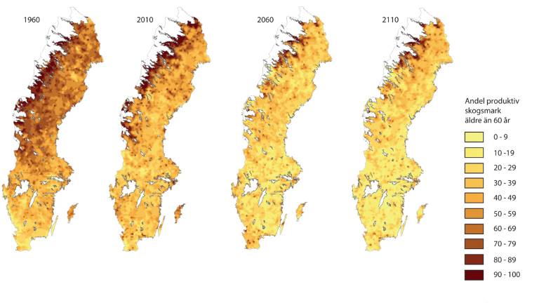 Rikstax-andel-skog-över-60-exkl-överståndare_1200x675px.jpg