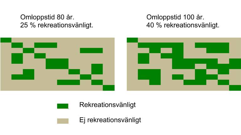 Andel-rekreationsvänlig-skog_1200x675px.jpg