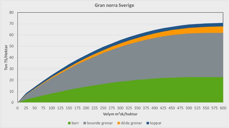 TT-grot-Gran-norra-Sverige_1200x675px.jpg