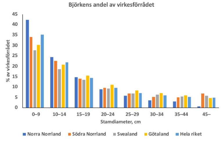 Björk_virkesförråd_diameter_833x529px.jpg