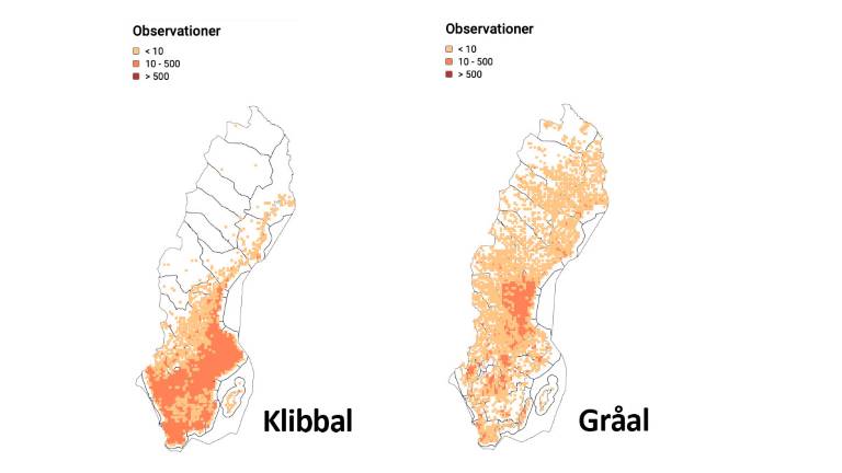 Artfakta-klibbal-gråal_1200x675px.jpg