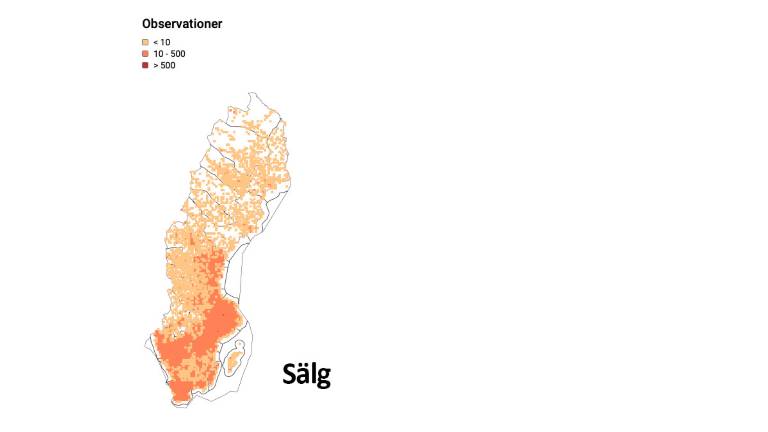 Artfakta-sälg_1200x675px.jpg