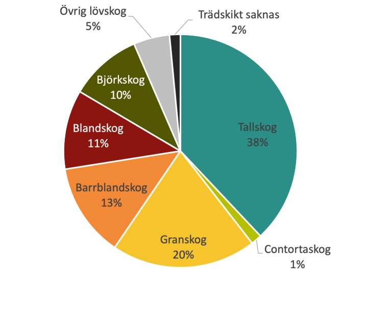 cirkel_blandskog.png