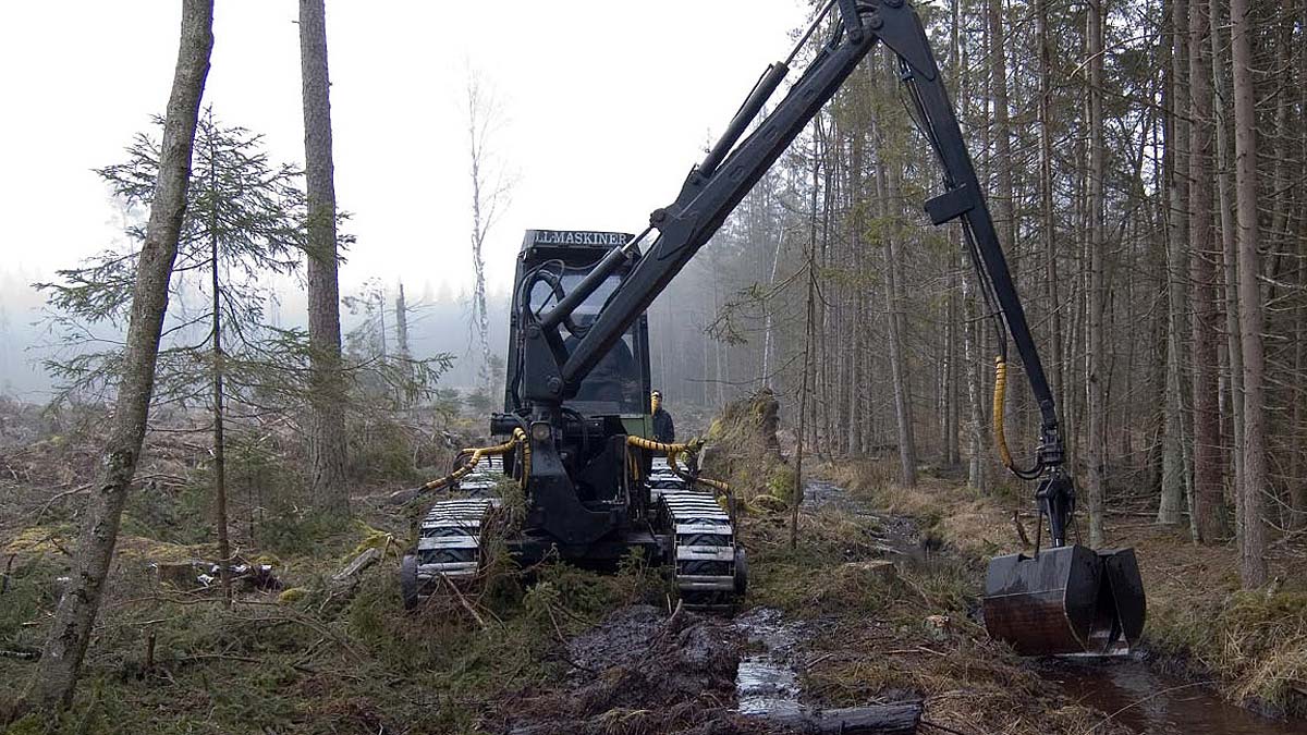 Terli porno yulduzlar Qizlar otasi bilan shafqatsiz porno