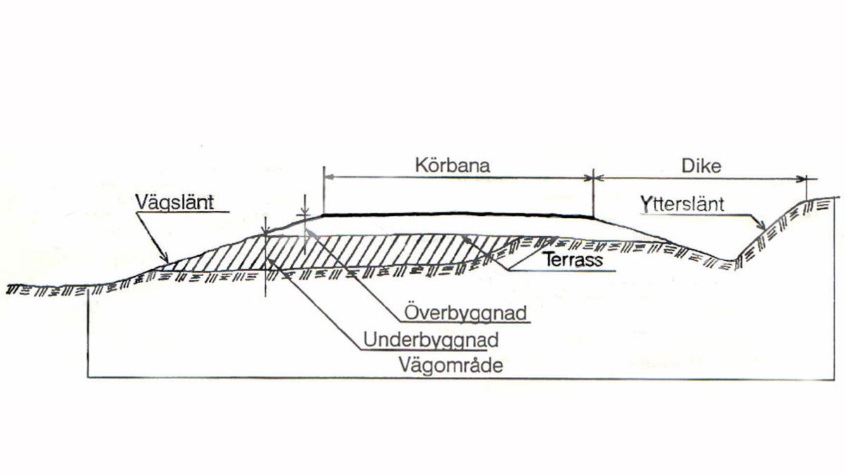 agromyzidae diptera of economic importance