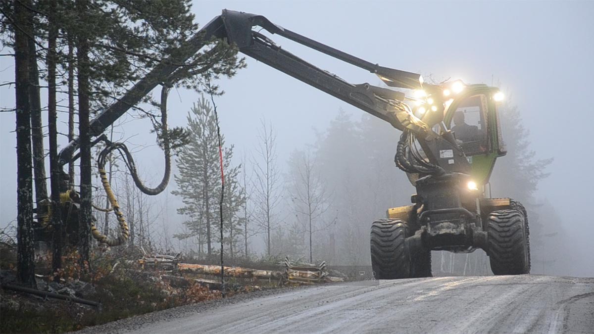 Röjning av vägkanter - Skogskunskap    
